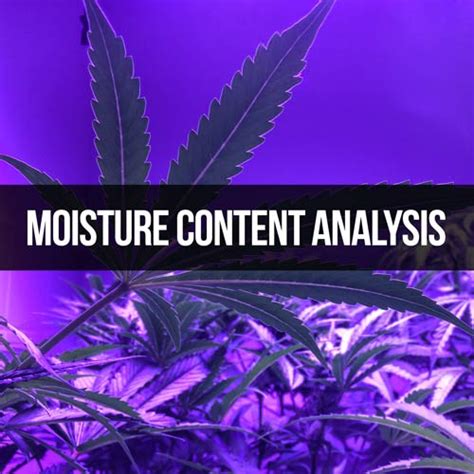 hemp moisture content